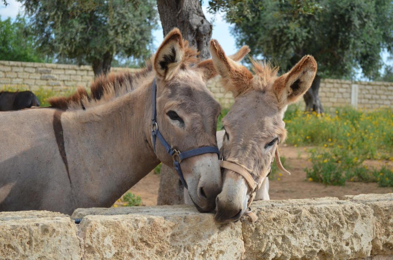 Taurisano Masseria Grande מראה חיצוני תמונה