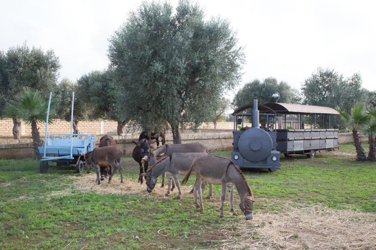 Taurisano Masseria Grande מראה חיצוני תמונה